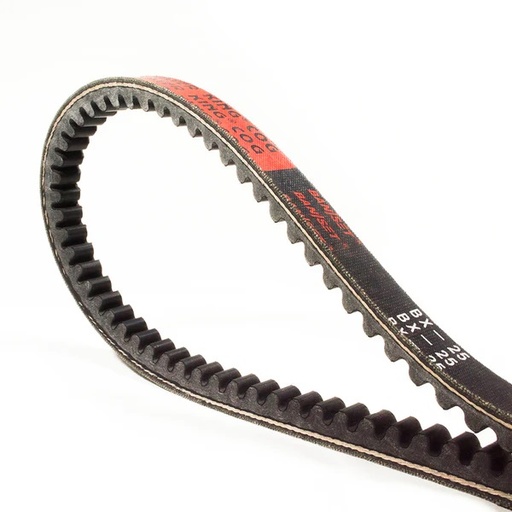 [CX56]  CORREA DENTADA BANDO CX56