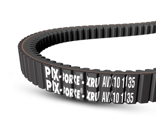 [A 98/13x2500] Correa Lisa A98 PIX